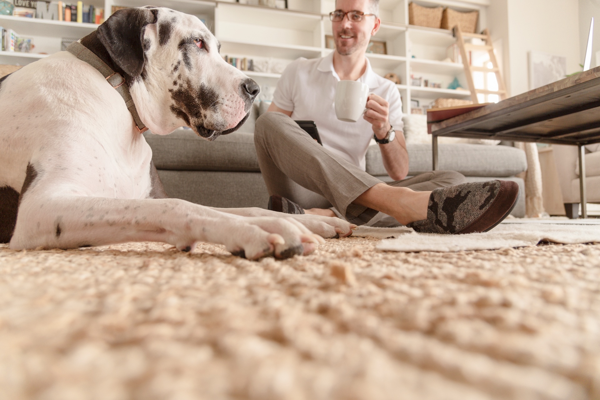 PET LIVING